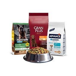 Categoria_Alimento Seco