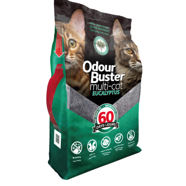 Odour Buster Multi-Cat Eucalyptus – 12 kg