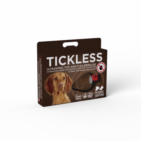 TICKLESS HORSE MARRON